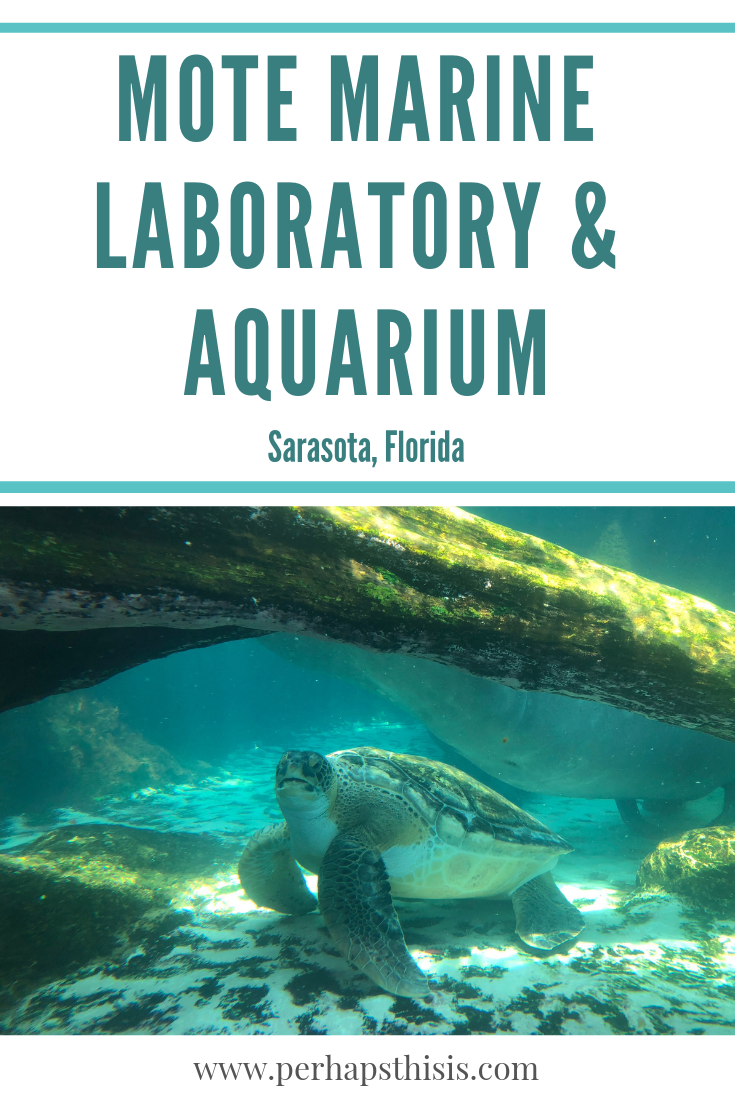 Mote Marine Laboratory And Aquarium, Sarasota Florida - Family Travel