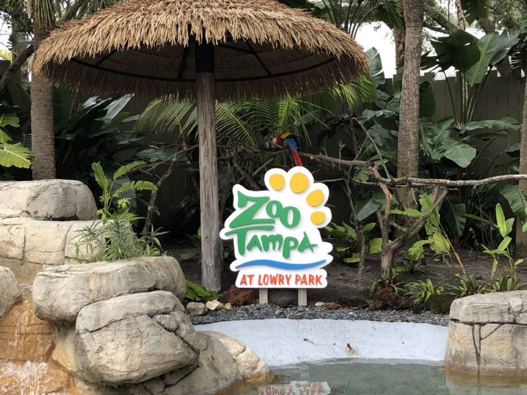 The Ultimate Guide To ZooTampa At Lowry Park - Tampa, Florida - Family