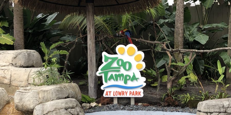 The Ultimate Guide to ZooTampa At Lowry Park - Tampa, Florida - Family