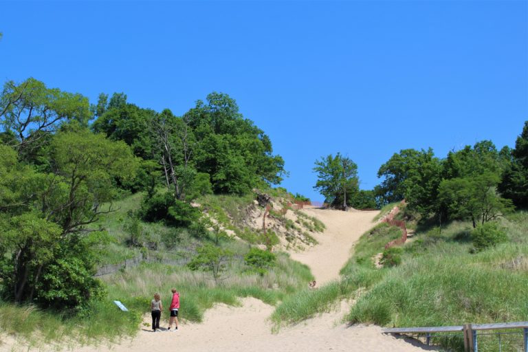 Everything You Need To Know About Camping At Indiana Dunes State Park