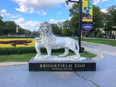 The Ultimate Guide to Brookfield Zoo ~ Chicago, IL