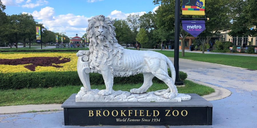 The Ultimate Guide To Brookfield Zoo ~ Chicago, IL