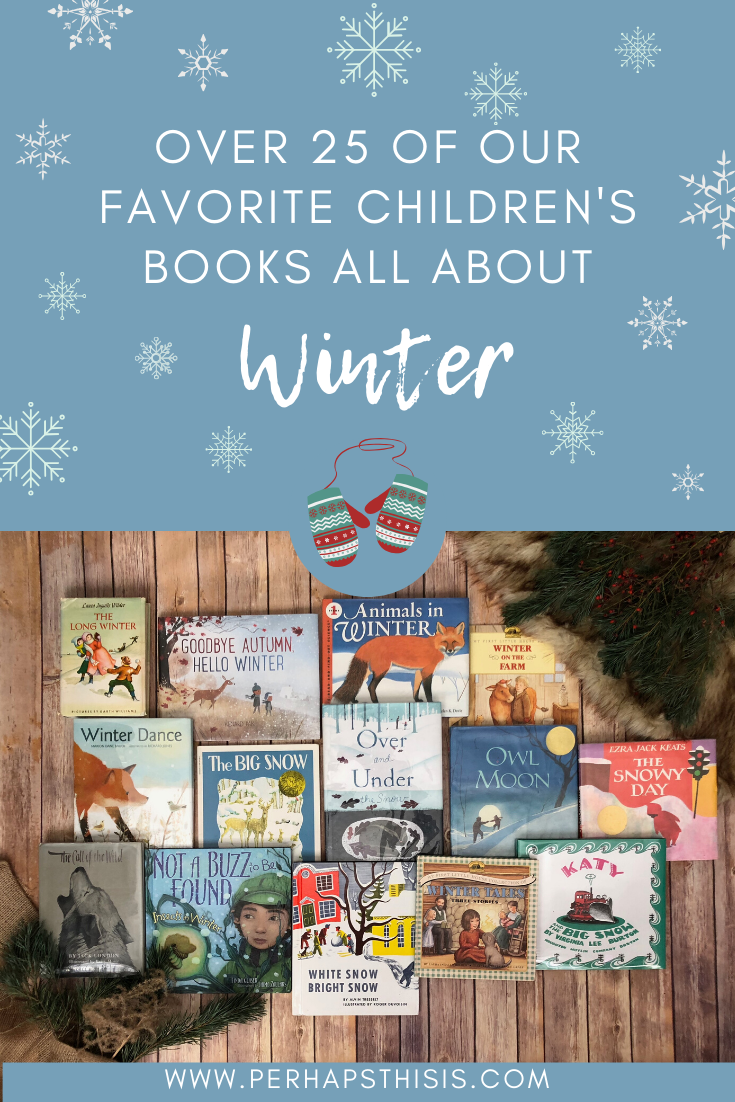 25 of the Best Winter ReadAloud Children's Books Homeschool