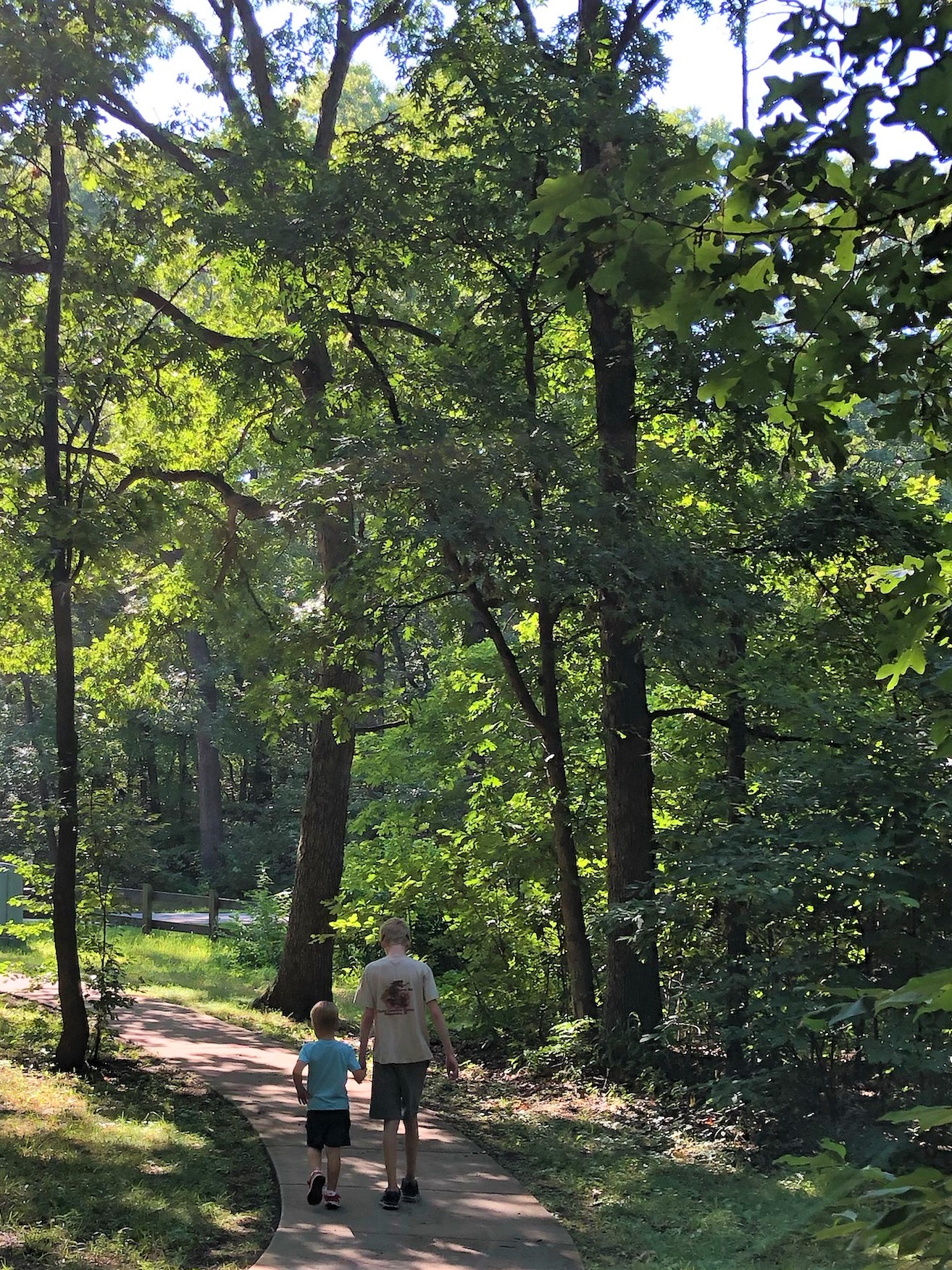 Everything You Need To Know About Camping At Indiana Dunes State Park