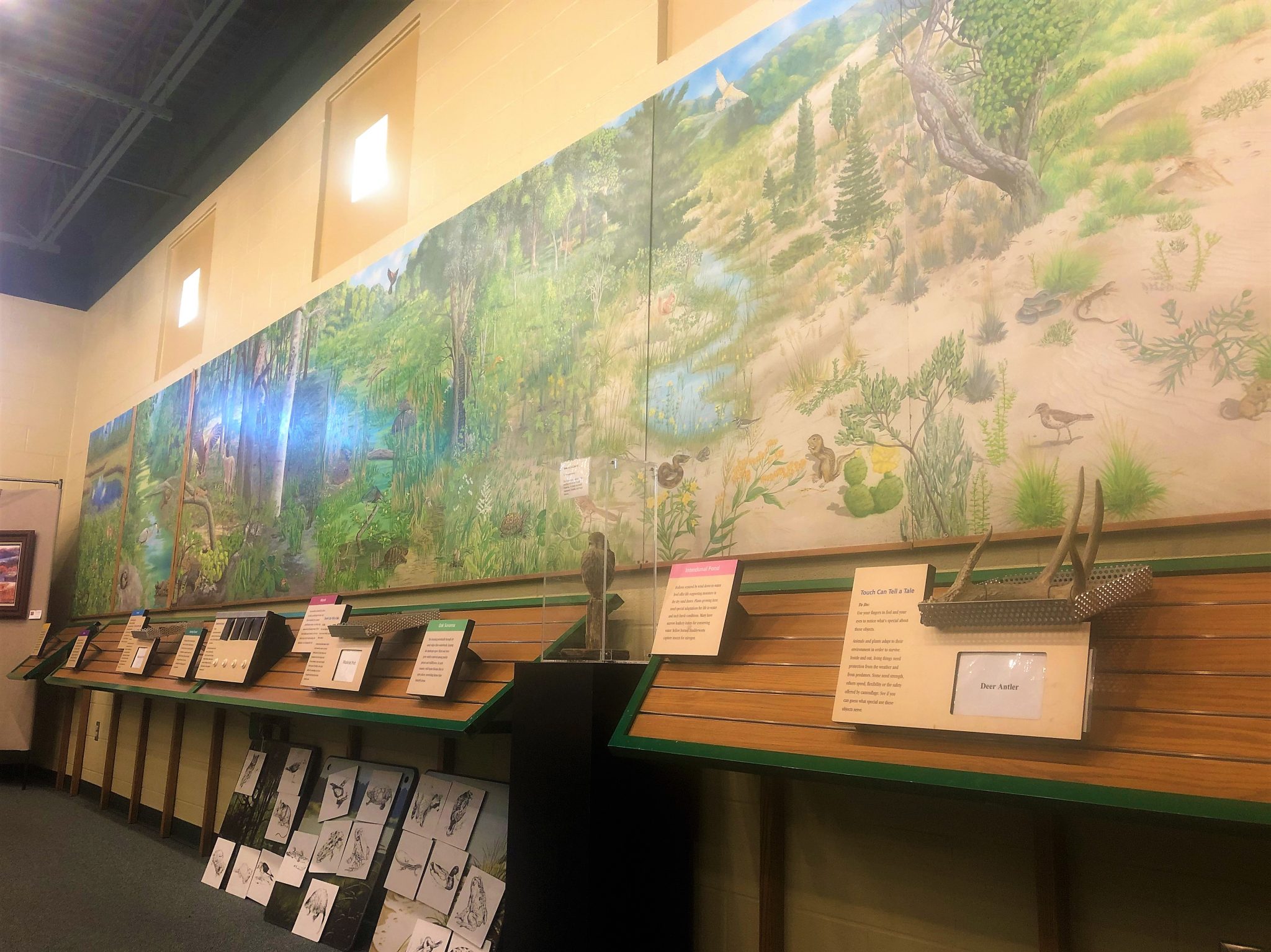 An Inside Look At Indiana Dunes National Park Visitor Center