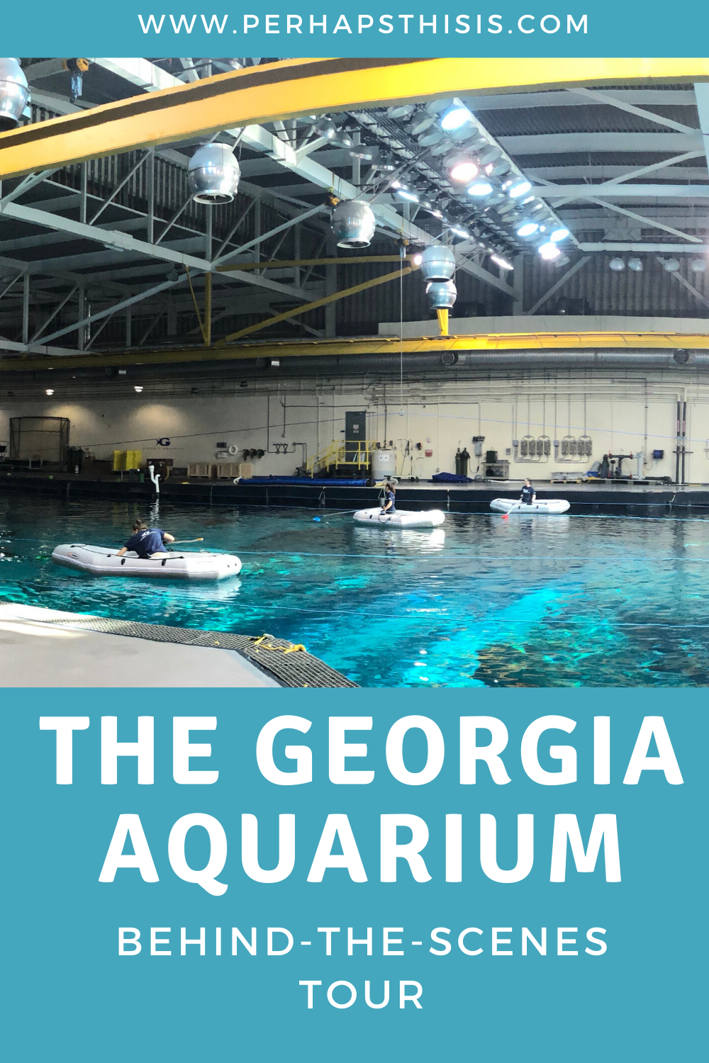 Top 4 Fascinating Stops On the Georgia Aquarium Behind-the-Scenes Tour - The Georgia Aquarium