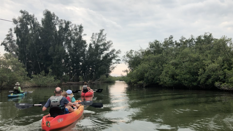 Make The Most Of Your Unforgettable Florida Kayak Tour