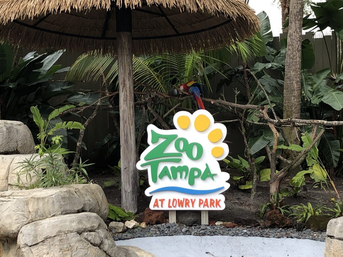 The Ultimate Guide to ZooTampa At Lowry Park - Tampa, Florida - Family