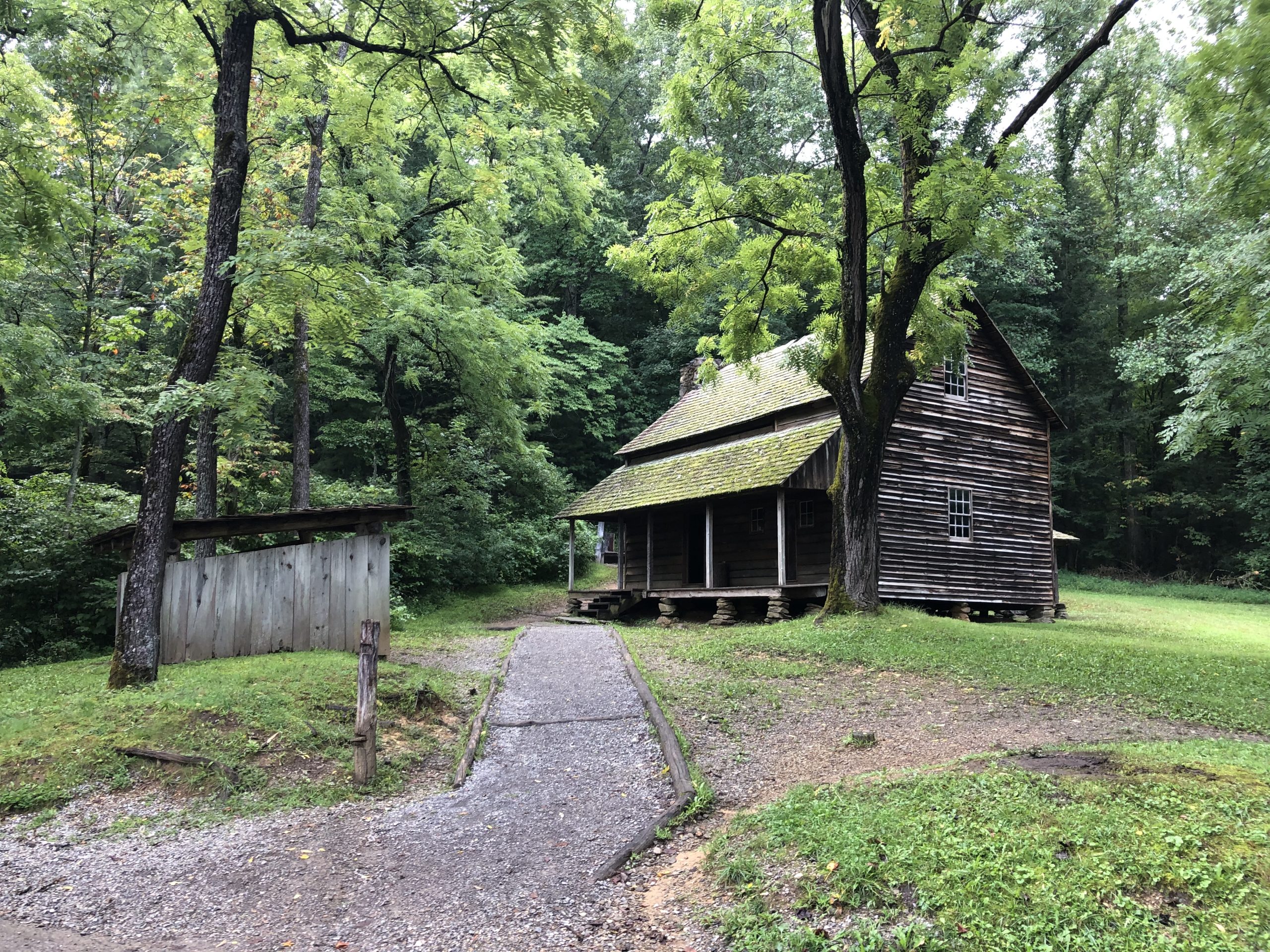 are dogs allowed in cades cove