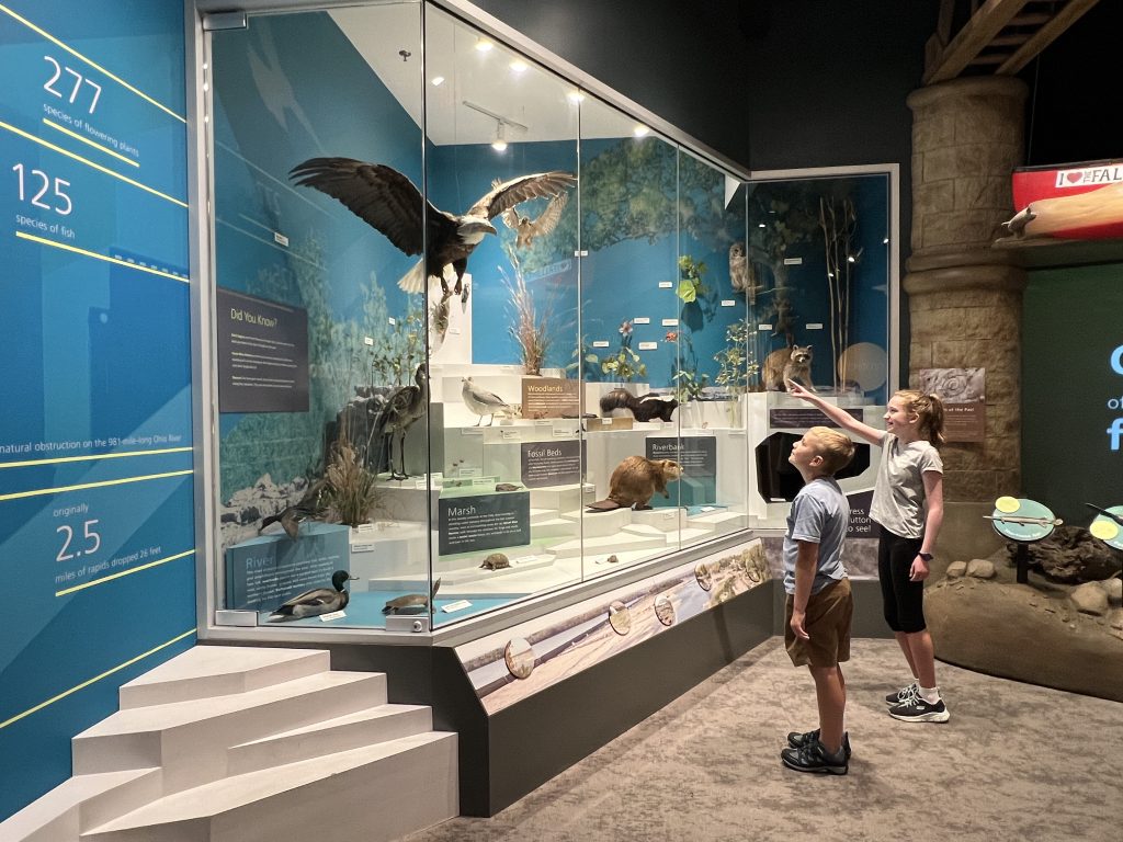 Native animal display at Falls of the Ohio Center