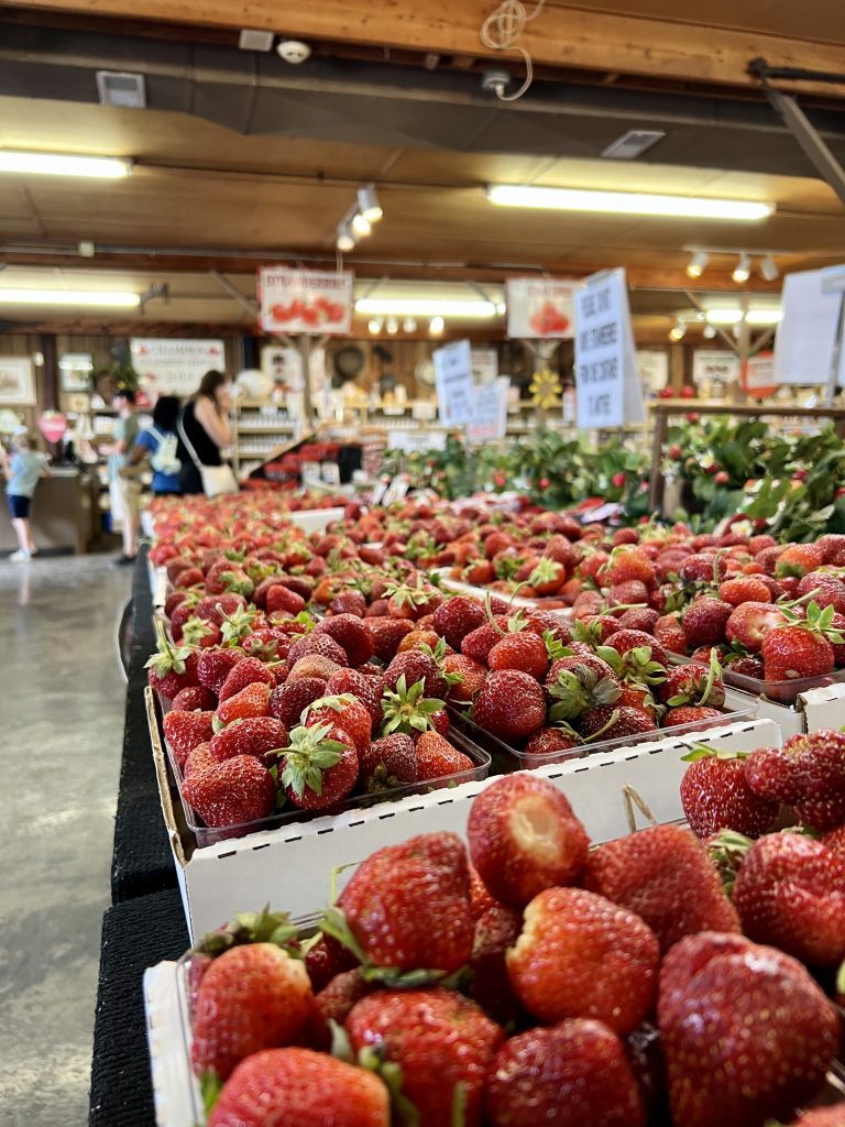 Fresh picked strawberries at Huber's Orchard Farm Market