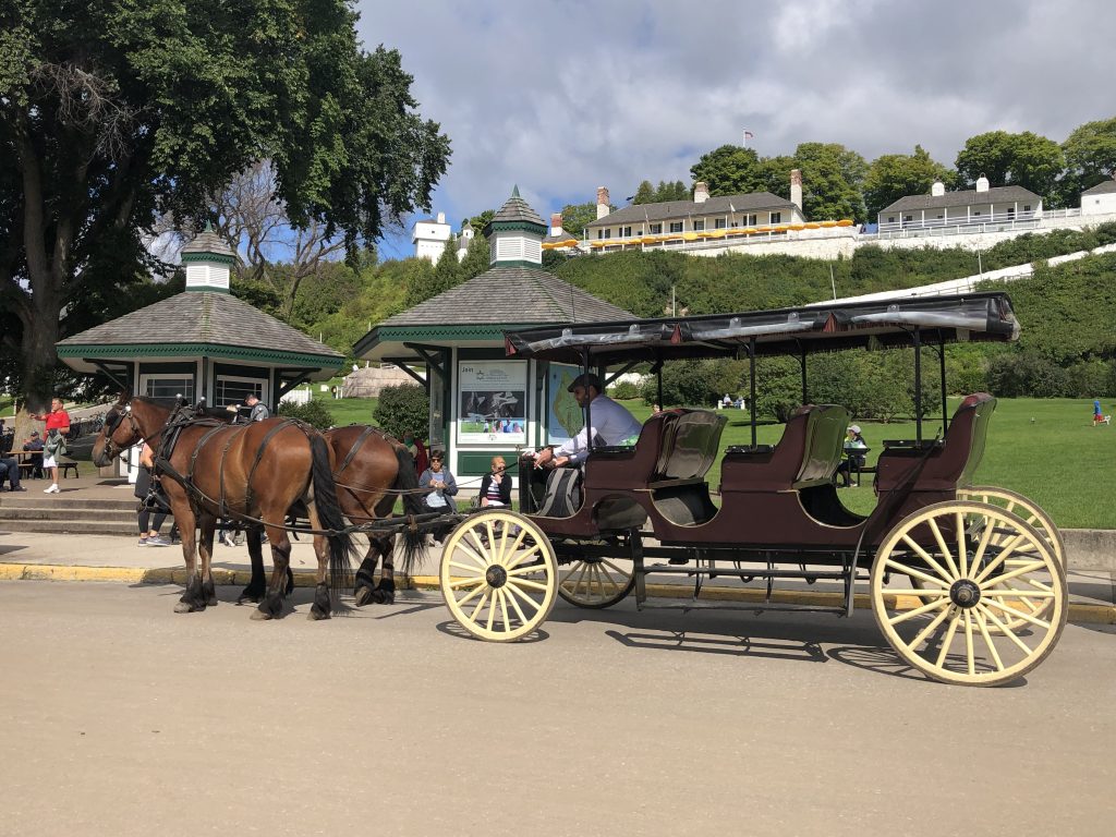 Gough Livery Private Horse Carriage Tour