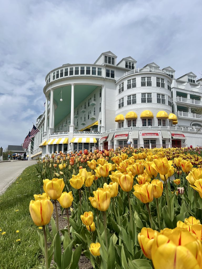 Yellow spring tulips out front of the Grand Hotel, Mackinac Island 