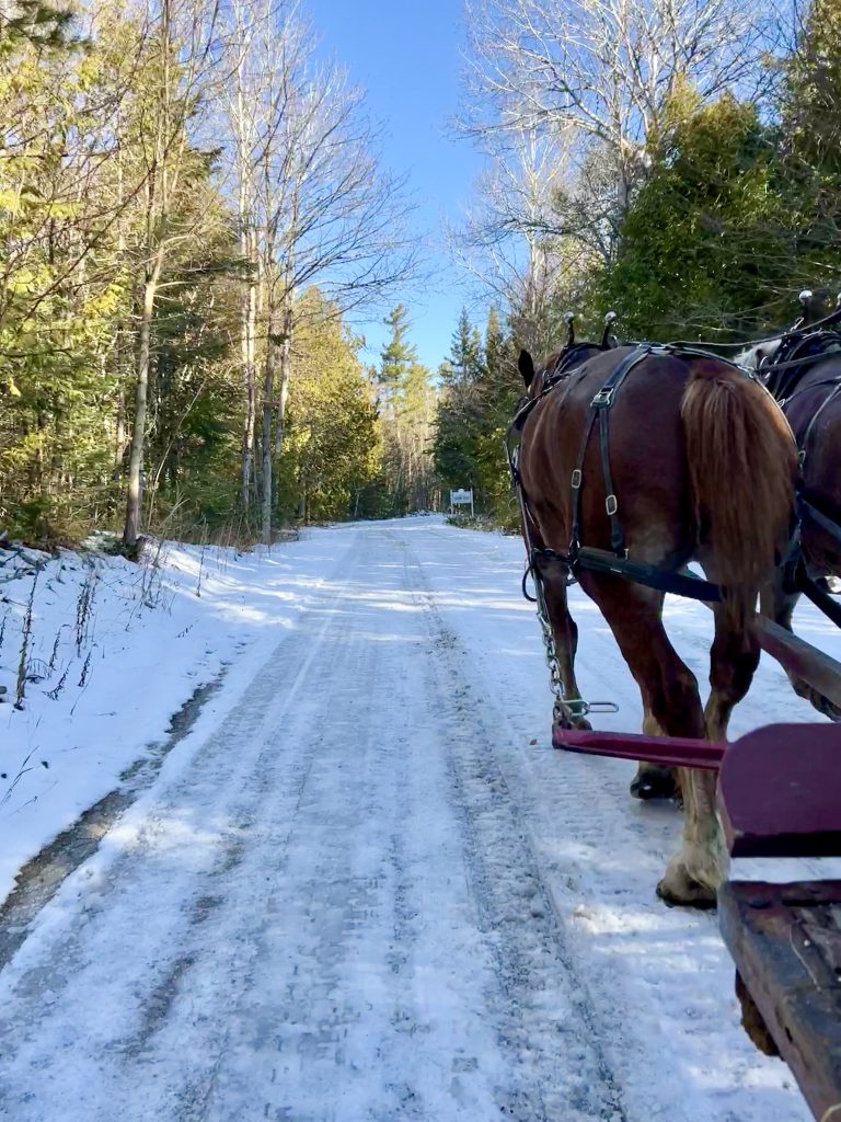 Horse drawn hay ride during the winter on Mackinac Island. 