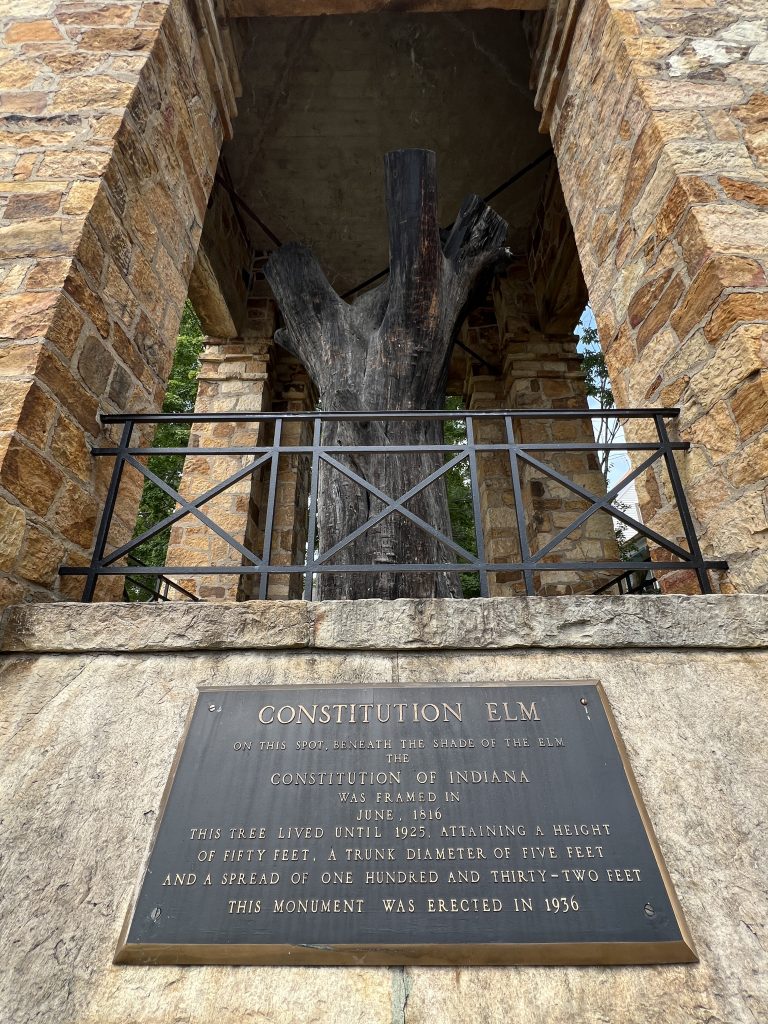 Constitution Elm, Corydon Indiana 