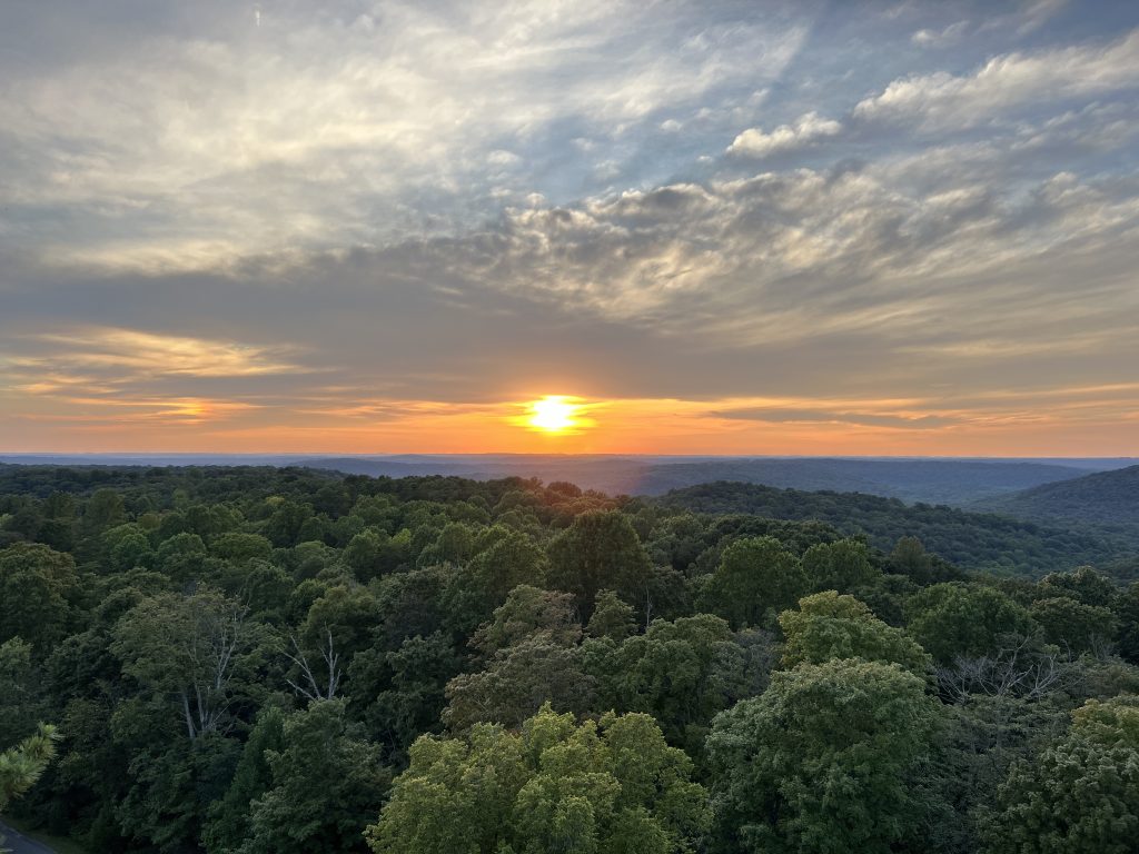 View from the top of Wyandotte Fire Tower, O'Bannon Woods State Park, Corydon Indiana 