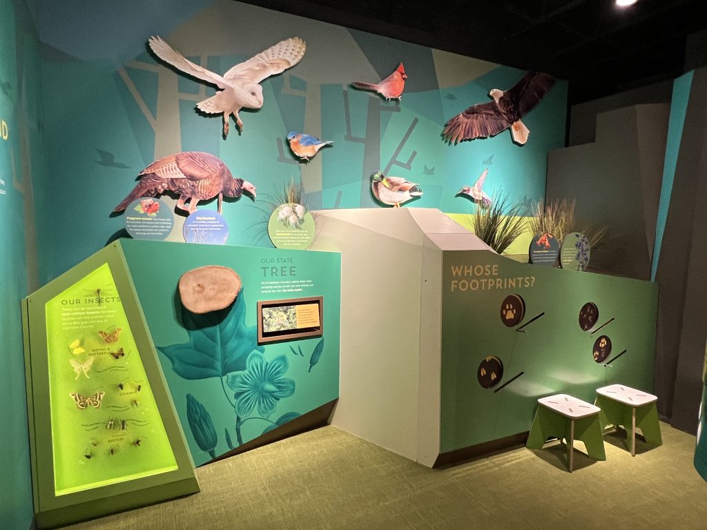 Discovery Center Museum - Things to do near Corydon Indiana 