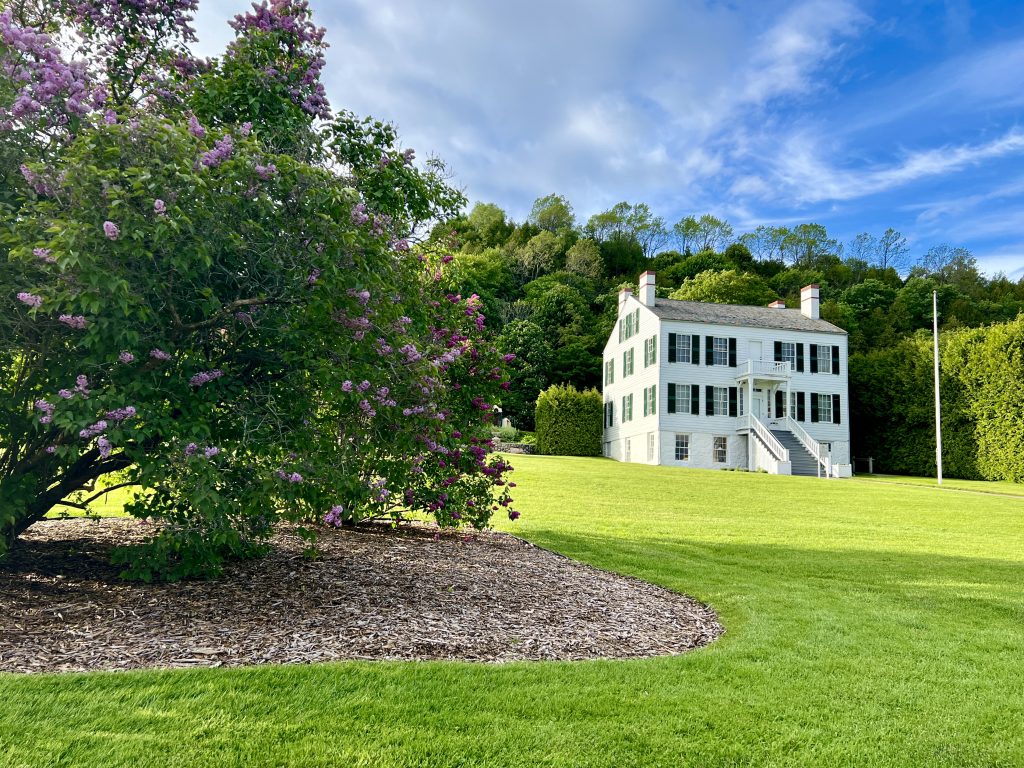 View of the Richard & Jane Manoogian Art Museum from Marquette Park with lilacs in the foreground.