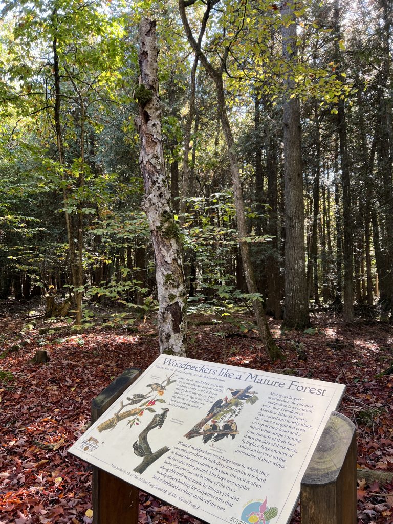 Mackinac Island Botanical Trail Signage